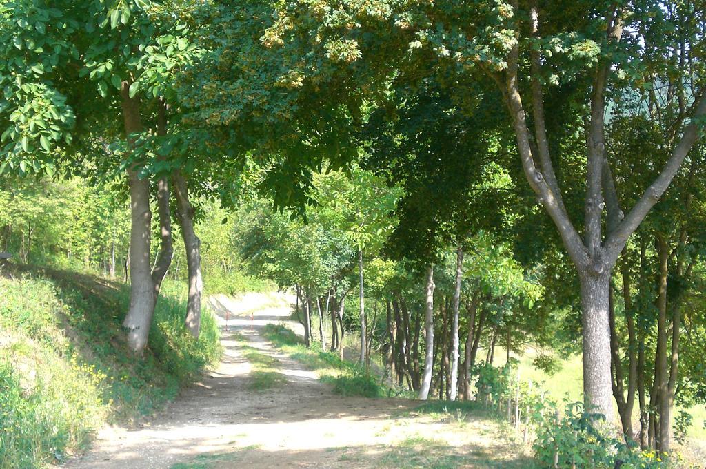Brisighella Green Wellness מראה חיצוני תמונה